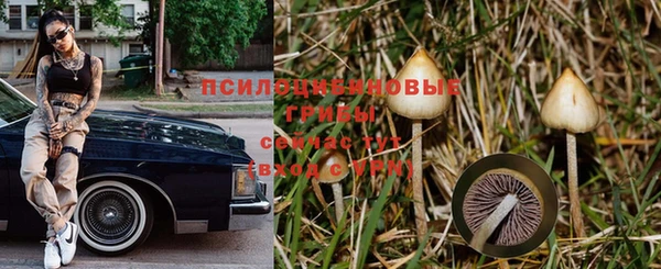 индика Красноперекопск