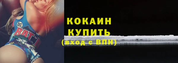 индика Красноперекопск