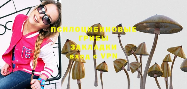 соль курить ск Шадринск