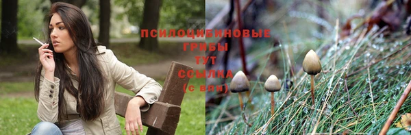 кристаллы Краснослободск