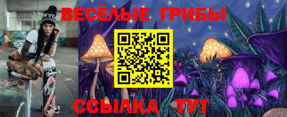 Галлюциногенные грибы Psilocybine cubensis Севастополь