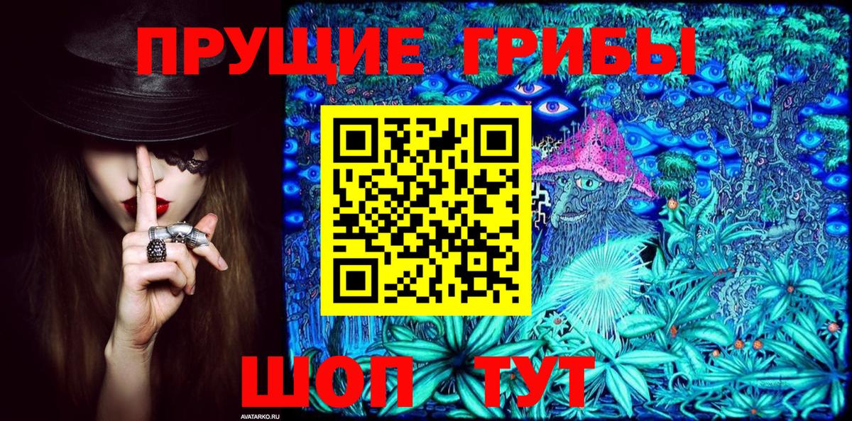 Севастополь  Псилоцибиновые грибы MAGIC MUSHROOMS  Вход с VPN  Псилоцибиновые грибы мухоморы 